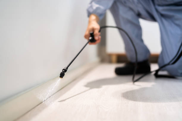 Bed Bug Pre-Treatment Preparation Assessment in Bel Air