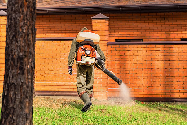 Bed Bug Clearance Verification and Documentation in Bel Air
